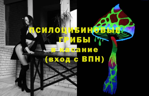 гидра Кулебаки