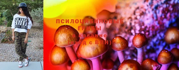 гидра Кулебаки