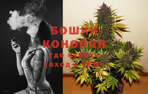 гидра Кулебаки